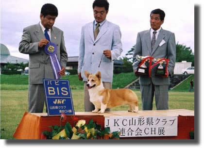 ニック